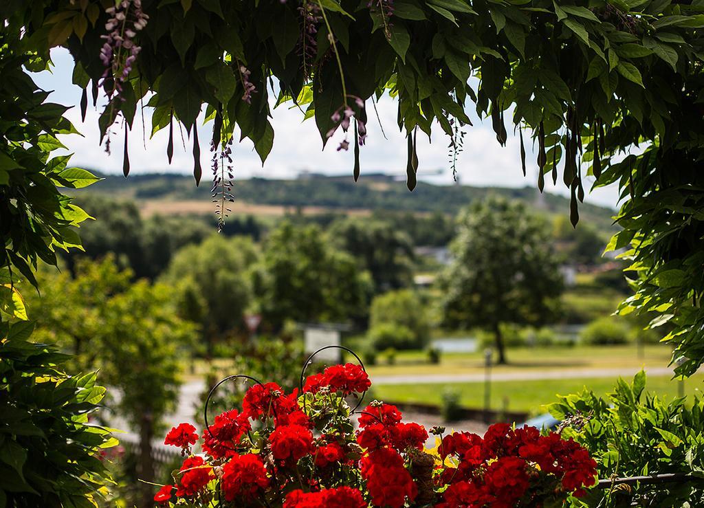 Hotel Zehnthof Ürzig Zewnętrze zdjęcie