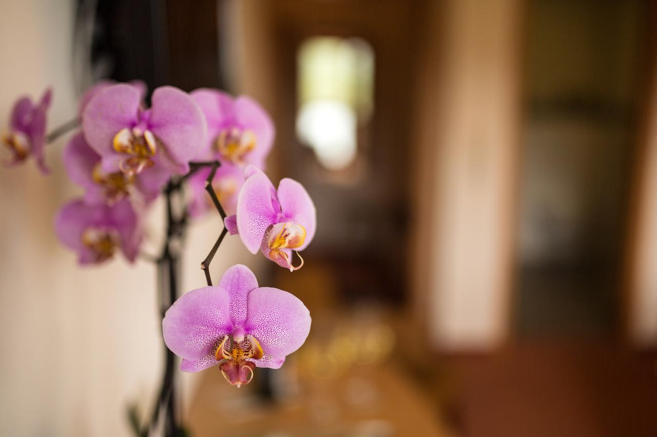 Hotel Zehnthof Ürzig Zewnętrze zdjęcie